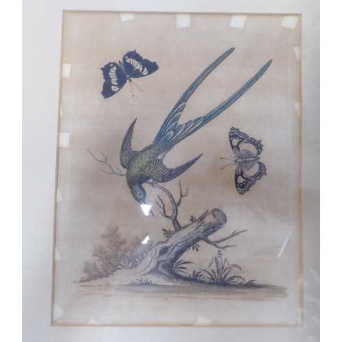 154 - Four framed pictures: to include two ornithological prints  8