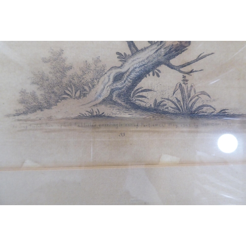 154 - Four framed pictures: to include two ornithological prints  8