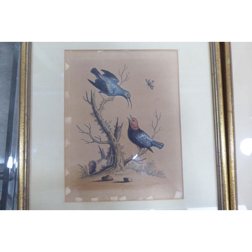 154 - Four framed pictures: to include two ornithological prints  8