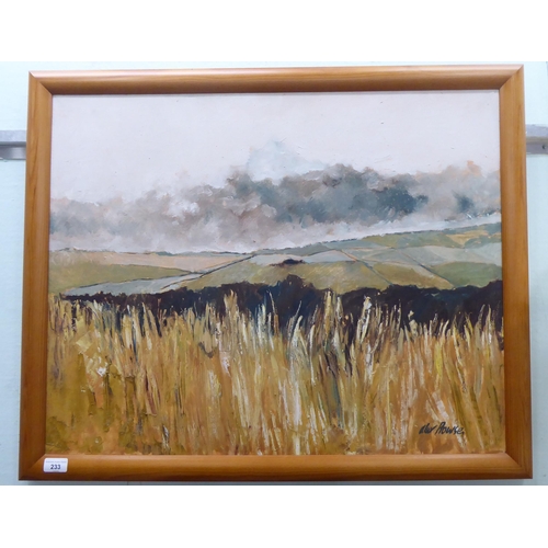 233 - Alex Rowse - open fields  oil on canvas  bears a signature  22