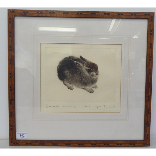 242 - A small rabbit  monochrome print  bears an indistinct pencil signature  9