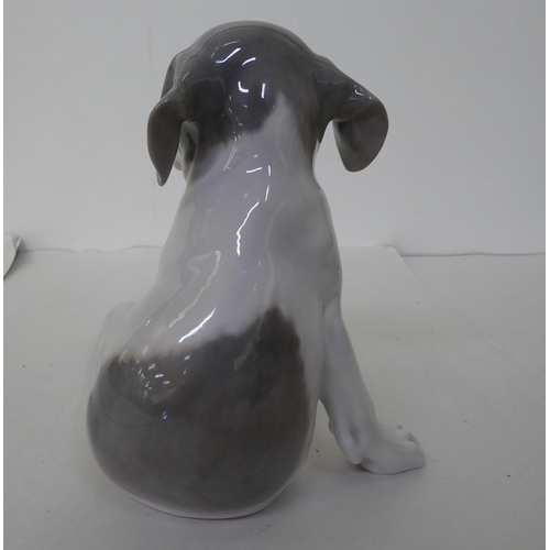 4 - A Royal Copenhagen porcelain model dog  No.259  7