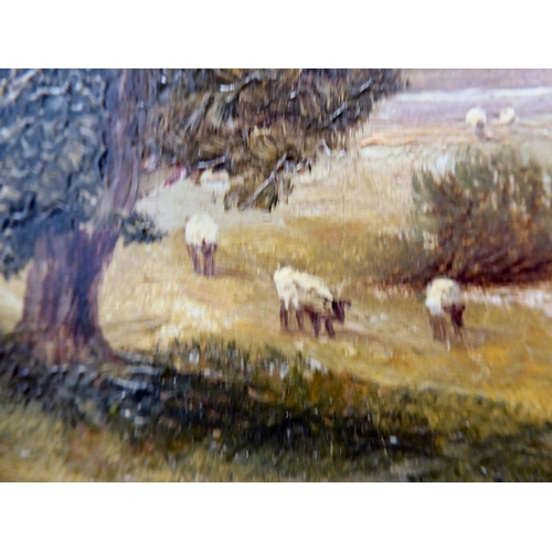 150 - Clifford Roberts - a riverscape with grazing sheep in a woodland setting  oil on canvas  bears a sig... 