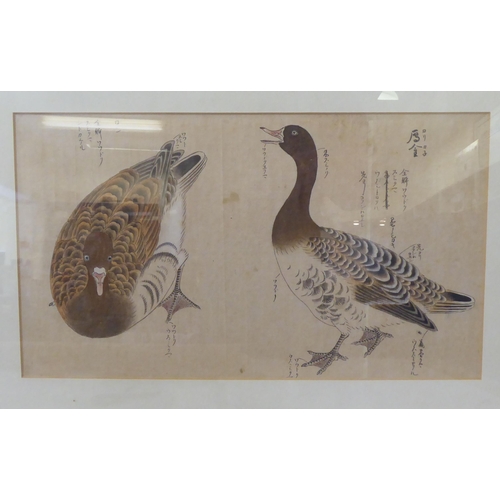 251 - Oriental pictures: to include a Chinese study of ducks  watercolour  bears text  10