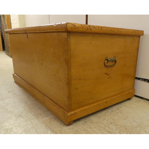 119 - An early 20thC rustic pine trunk with straight sides and a hinged lid, on a plinth  19