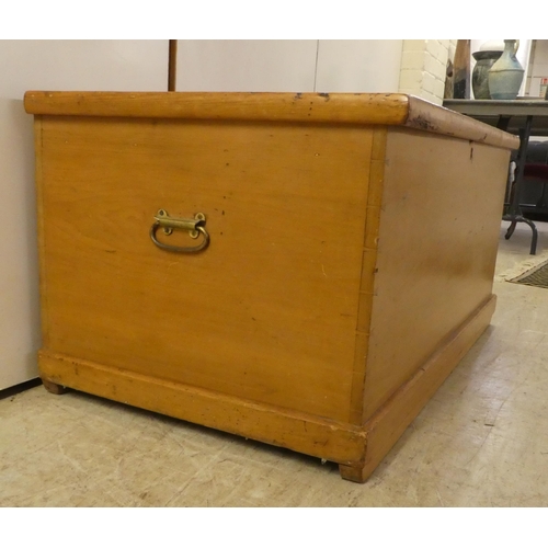 119 - An early 20thC rustic pine trunk with straight sides and a hinged lid, on a plinth  19