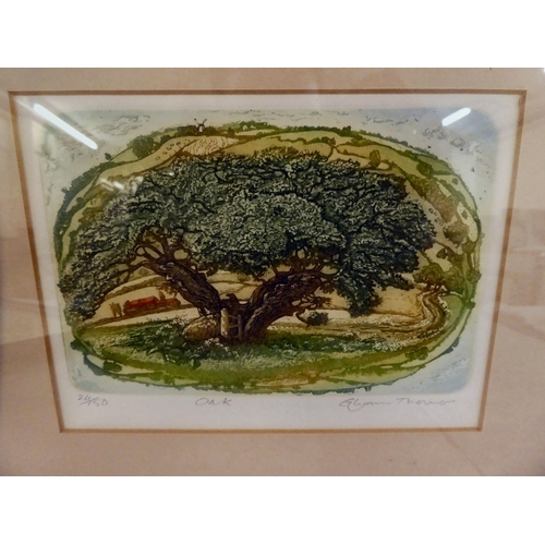 141 - After Glynn Thomas - 'Oak'  Limited Edition 24/150 print  bears a pencil signature  5