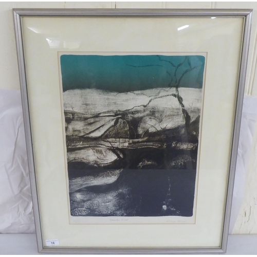 16 - After Michael Honnor - 'December River'  Limited Edition 20/30 coloured print  bears a pencil title ... 