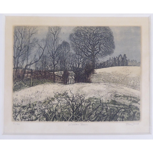 34 - After Peter Ford - 'Winter Thorns'  Limited Edition 42/50 coloured print  bears a pencil title &... 