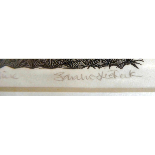 41 - After Sarah Van Niekerk - 'Jacobs in Shropshire'  Artist Proof  bears a pencil signature  5