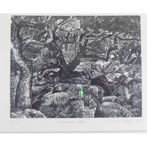 49 - After Howard Phipps - 'Wistmans Wood'  Limited Edition 72/100 monochrome print  bears a pencil signa... 