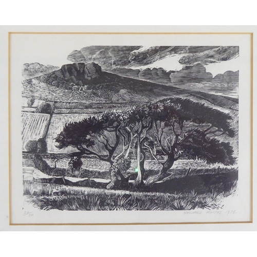 54 - After Howard Phipps - 'An Open Field on an Overcast Day'  Limited Edition 22/30 monochrome print  be... 