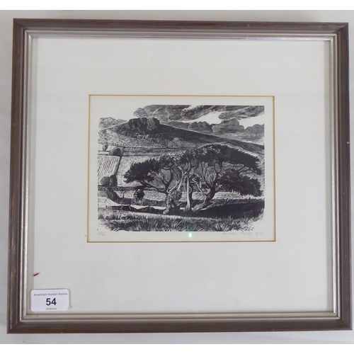 54 - After Howard Phipps - 'An Open Field on an Overcast Day'  Limited Edition 22/30 monochrome print  be... 