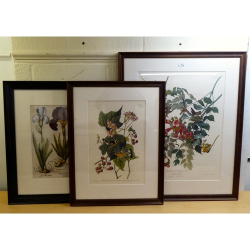 42 - Three floral studies  prints  largest 27