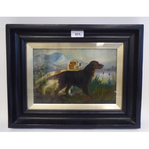 311 - C Earl - two studies of dogs  oil on board  bearing signatures  7