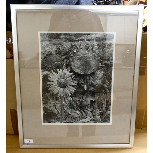 76 - After George Tate - 'Sunflower Field'  Limited Edition 72/75 monochrome print  bears a pencil signat... 