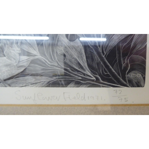 76 - After George Tate - 'Sunflower Field'  Limited Edition 72/75 monochrome print  bears a pencil signat... 