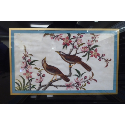 189 - Early 20thC Chinese School - six studies of exotic birds  mixed media on ricepaper  each 6