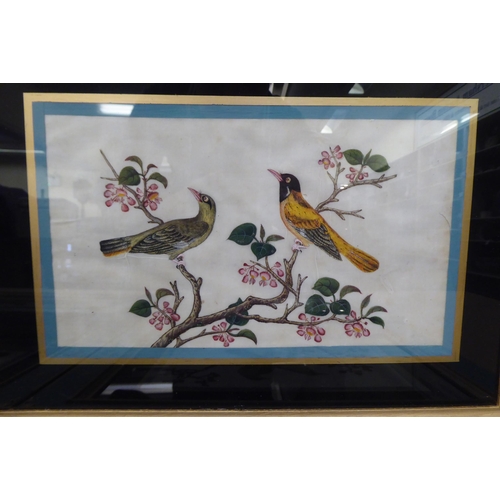 189 - Early 20thC Chinese School - six studies of exotic birds  mixed media on ricepaper  each 6