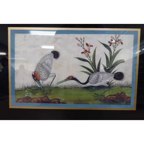 189 - Early 20thC Chinese School - six studies of exotic birds  mixed media on ricepaper  each 6