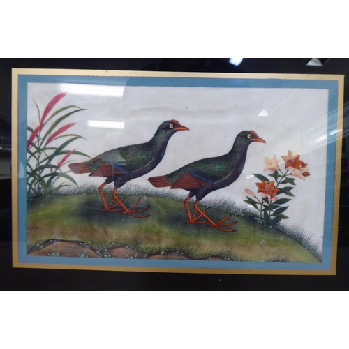 189 - Early 20thC Chinese School - six studies of exotic birds  mixed media on ricepaper  each 6