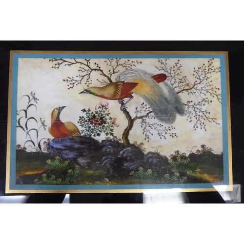 194 - Early 20thC Chinese School - two studies of exotic birds  mixed media on ricepaper  7