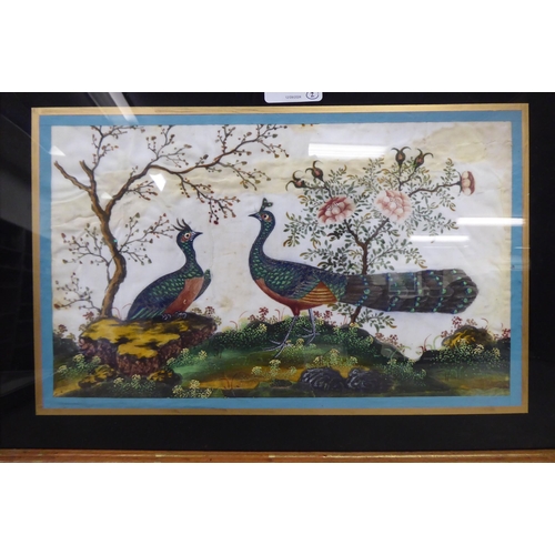 194 - Early 20thC Chinese School - two studies of exotic birds  mixed media on ricepaper  7