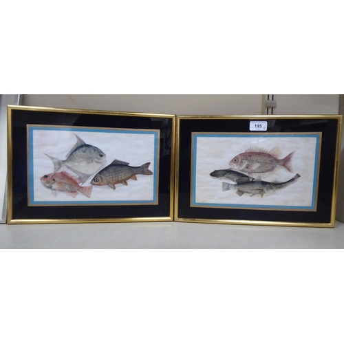 195 - Early 20thC Chinese School - two studies of fish  mixed media on ricepaper  6