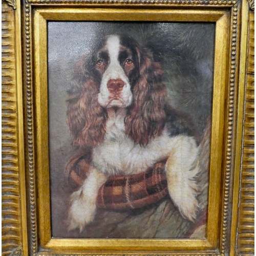 205 - A reproduction of a 19thC study, a spaniel  faux oil study  15