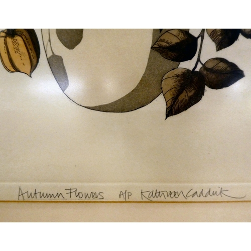 67 - After Kathleen Caddick - seven individually titled coloured prints  bearing pencil signatures&n... 