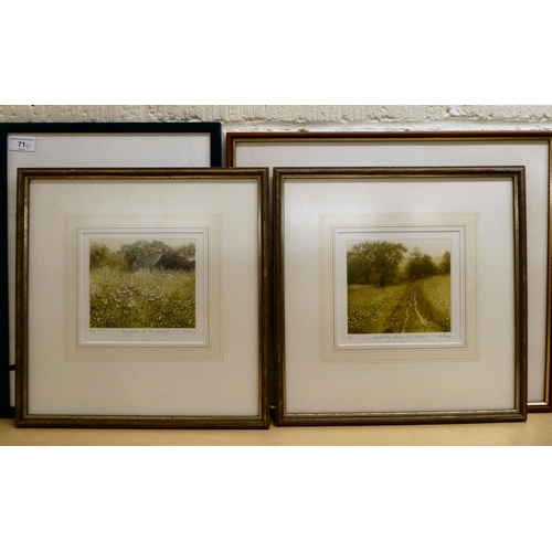 71 - Framed pictures: to include after Jo Barry - two landscapes  Limited Edition coloured prints  bearin... 