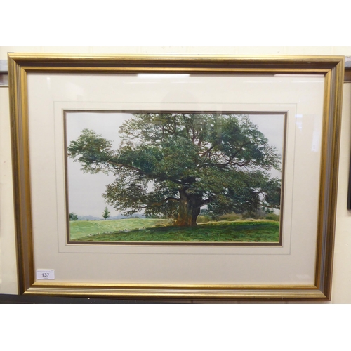 137 - Richard Bolton - 'The Oak Tree'  watercolour  bears a signature & dated '94  11