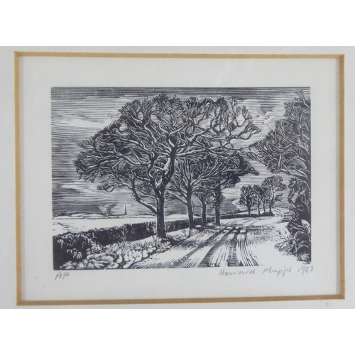 Lot 243       