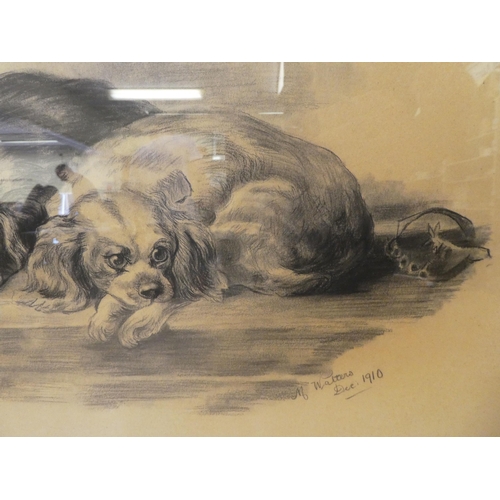 123 - M Walter - two recumbent spaniels  pencil/charcoal  bears a signature & dated 1910&nbs... 