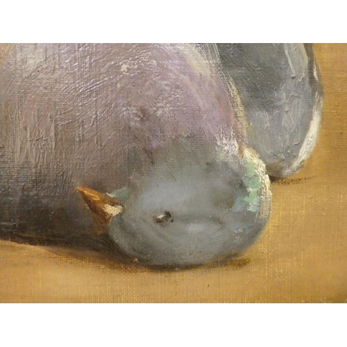 54 - Possibly Jacques Emille Blanche - a still life, a pigeon  oil on canvas  bears a label verso  12