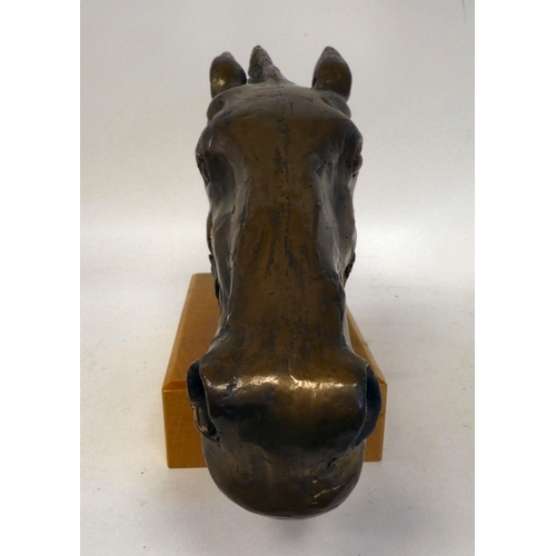 10 - A gilded metal, bronze finished sculpture, a horses' head, on a polished beech plinth  9