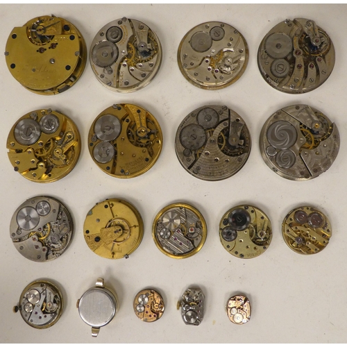 13 - Pocket watch movements  various sizes