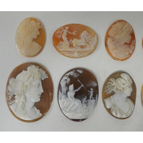 72 - Shell carved cameos: to include an example depicting a horsedrawn chariot