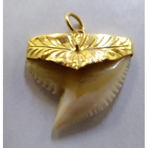 373 - A yellow metal pendant, on a ring, set with a shark tooth