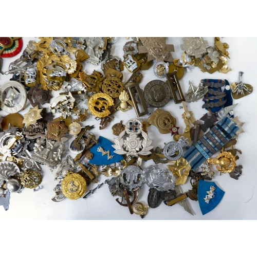 101 - Miscellaneous, mainly British military badges and insignia, some copies: to include helmet plates; a... 