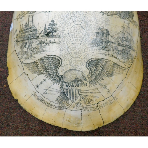 117 - A replica tortoiseshell celebrating the culture of the United States of America, under the banner of... 