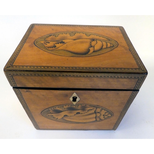 13 - A 19thC inlaid satinwood and shell marquetry tea casket with straight sides and a hinged lid  4.5