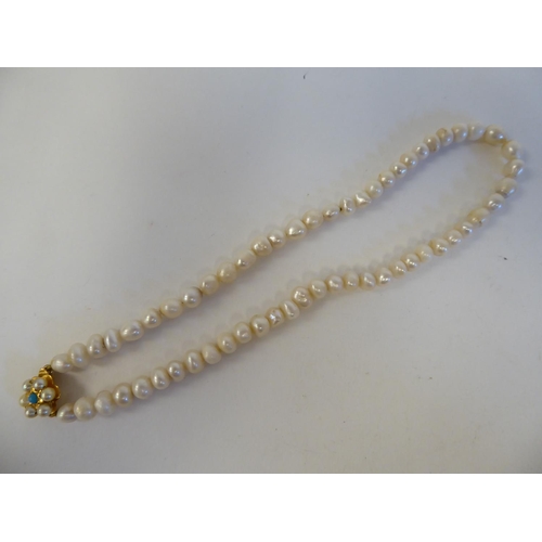 161 - A single strand river pearl necklace, on a yellow metal bayonette clasp