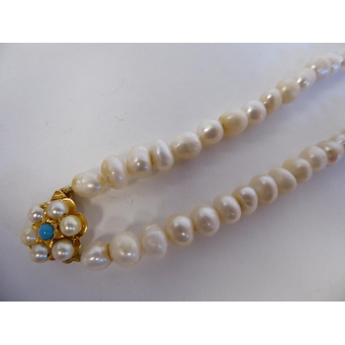 161 - A single strand river pearl necklace, on a yellow metal bayonette clasp