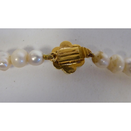 161 - A single strand river pearl necklace, on a yellow metal bayonette clasp