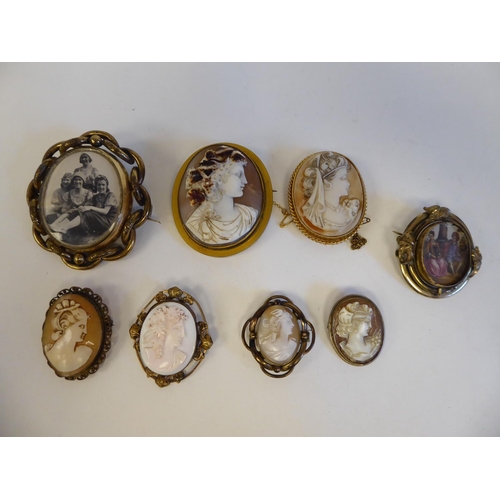 230 - Various cameo brooches: to include one shell carved, depicting the profile portrait of a woman