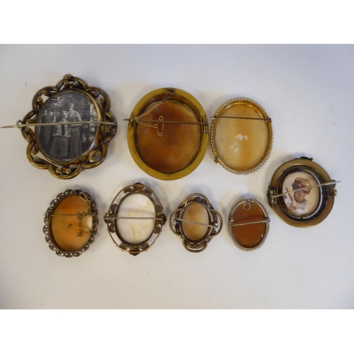 230 - Various cameo brooches: to include one shell carved, depicting the profile portrait of a woman