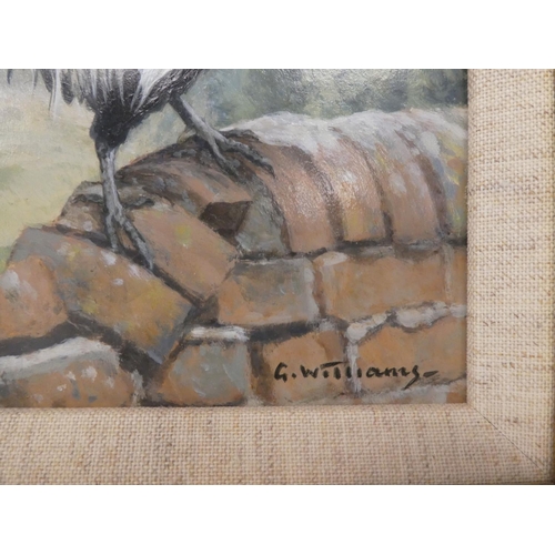 25 - G Williams - a cockerel perched on a broken brick wall  oil on board  bears a signature&nb... 