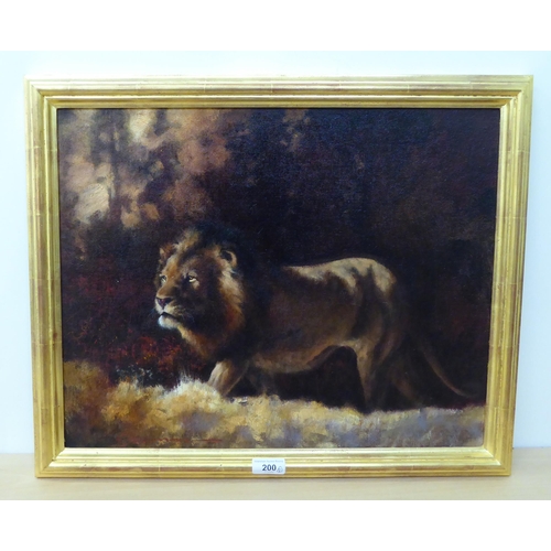 200 - A study of a lion in the wilderness  oil on board  bears an indistinct signature  15