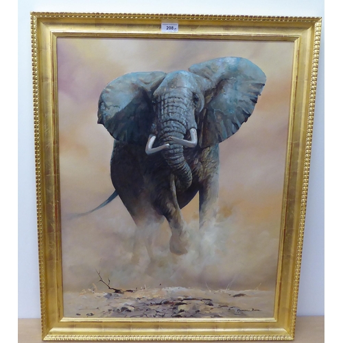 208 - Maxine Bone - a study of a charging elephant  oil on canvas  bears a signature  27